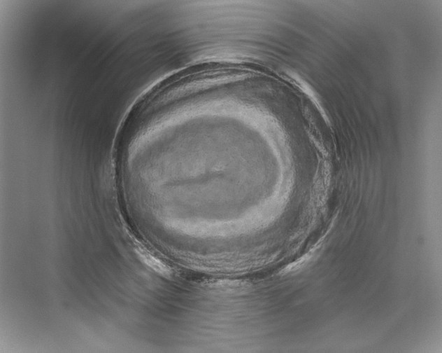 X0000075400779200609251017