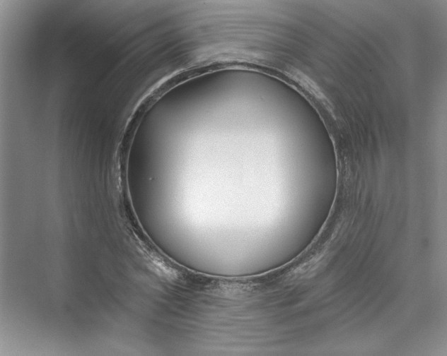 X0000075400782200609251017