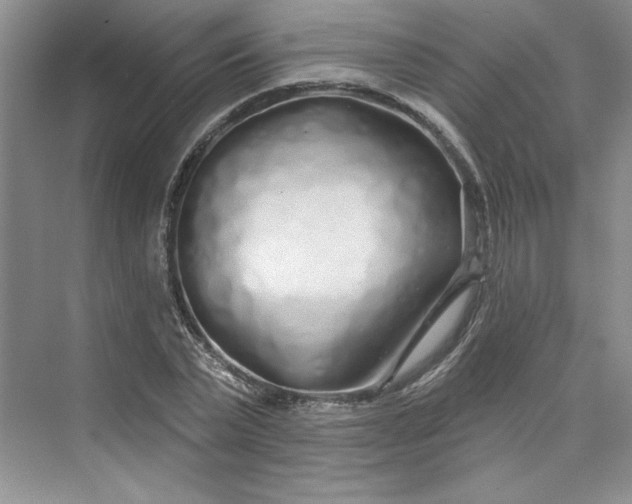 X0000075400783200609251017