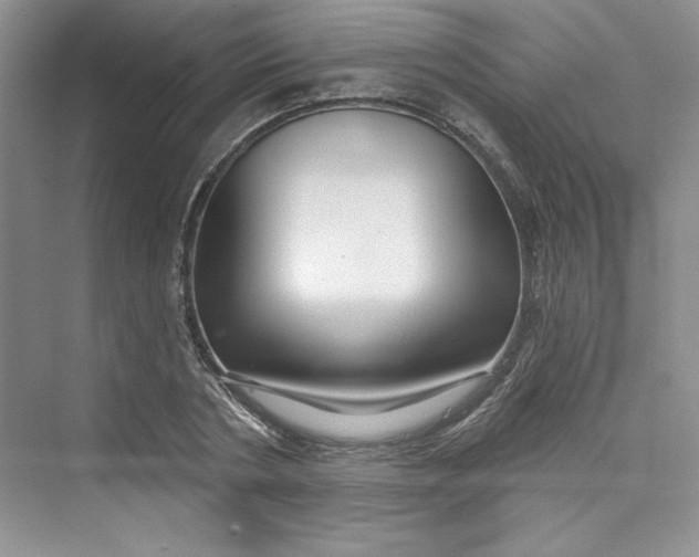 X0000075400786200609251017