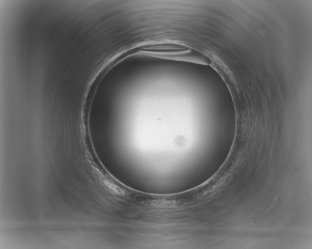 X0000075400789200609251017