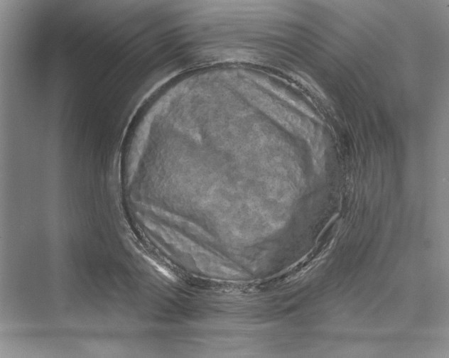 X0000075400790200609251017