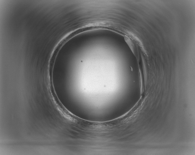 X0000075400792200609251017