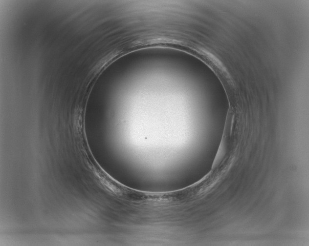 X0000075400793200609251017