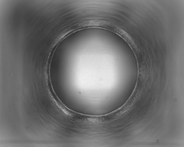 X0000075400794200609251017