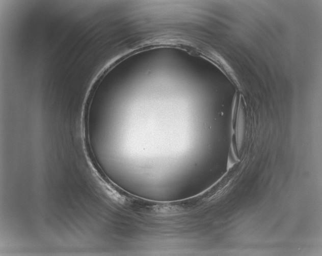 X0000075400795200609251017