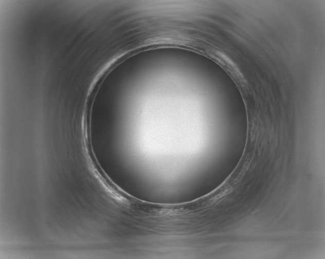 X0000075400796200609251017