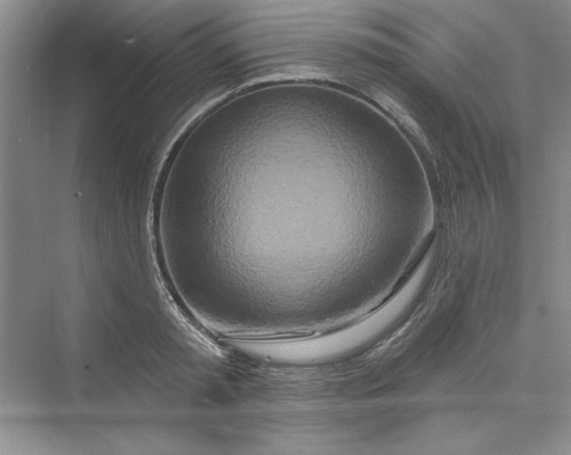 X0000075400797200609251017