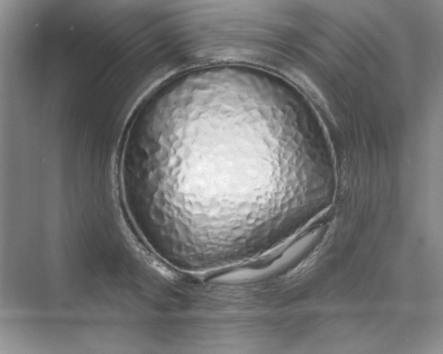 X0000075400798200609251017