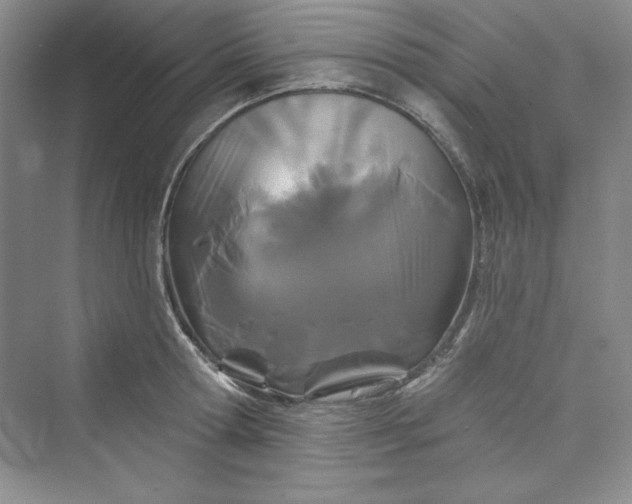 X0000075400802200609251017