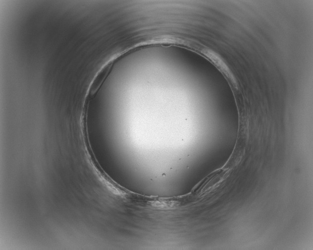 X0000075400805200609251017