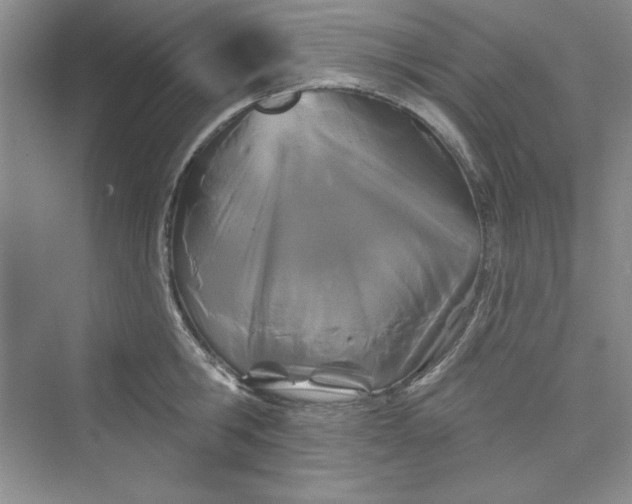 X0000075400806200609251017