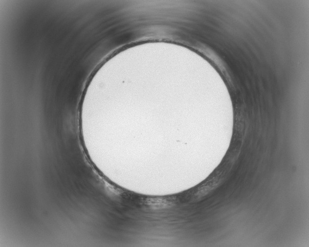 X0000075400807200609251017