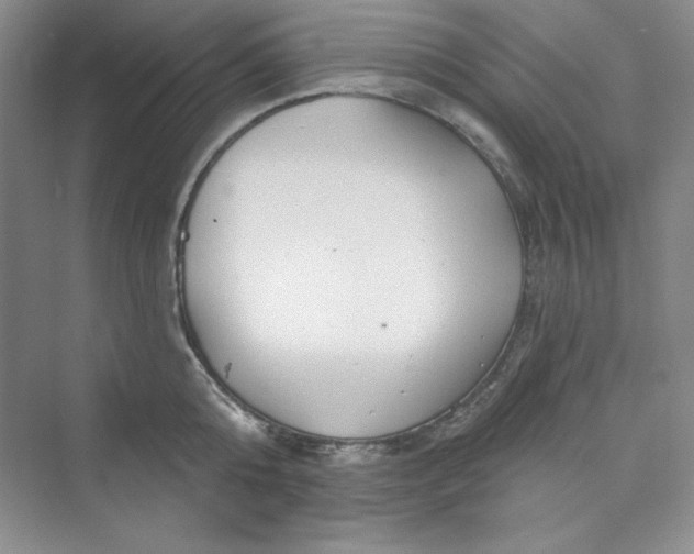 X0000075400808200609251017