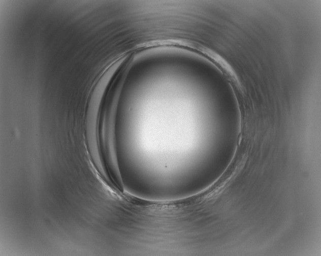 X0000075400809200609251017