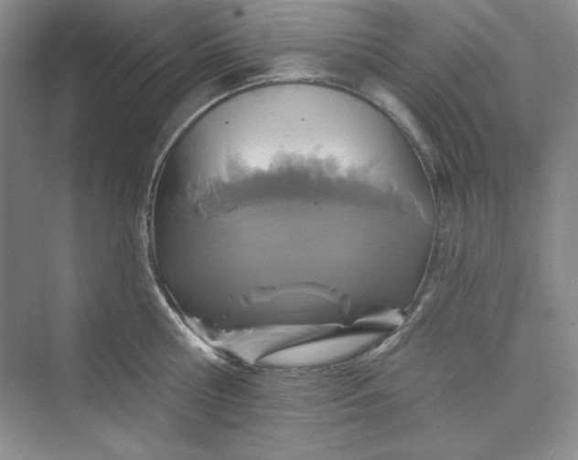 X0000075400810200609251017