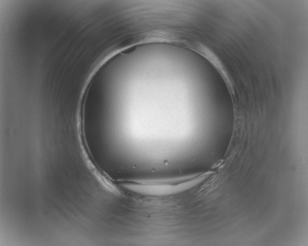 X0000075400811200609251017