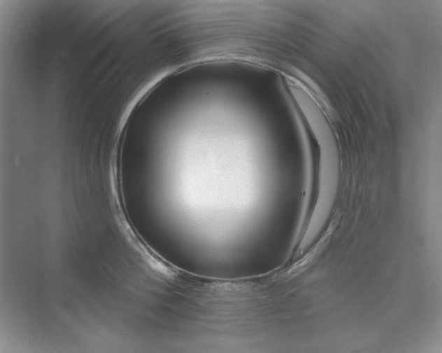 X0000075400812200609251017