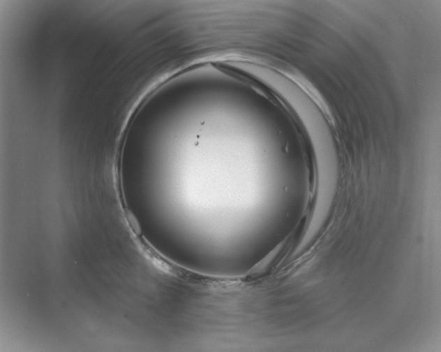 X0000075400813200609251017