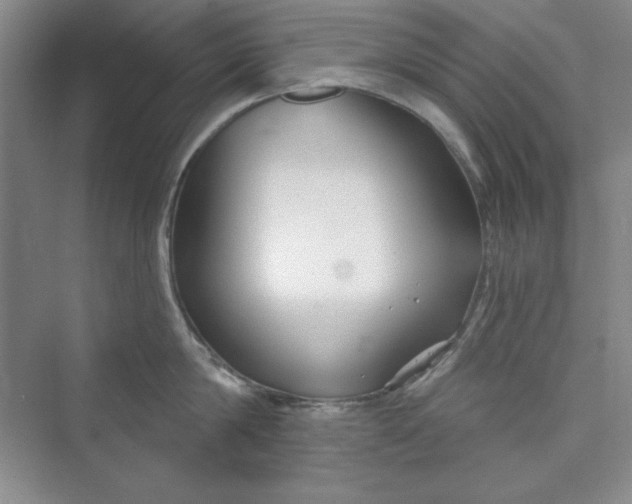 X0000075400814200609251017