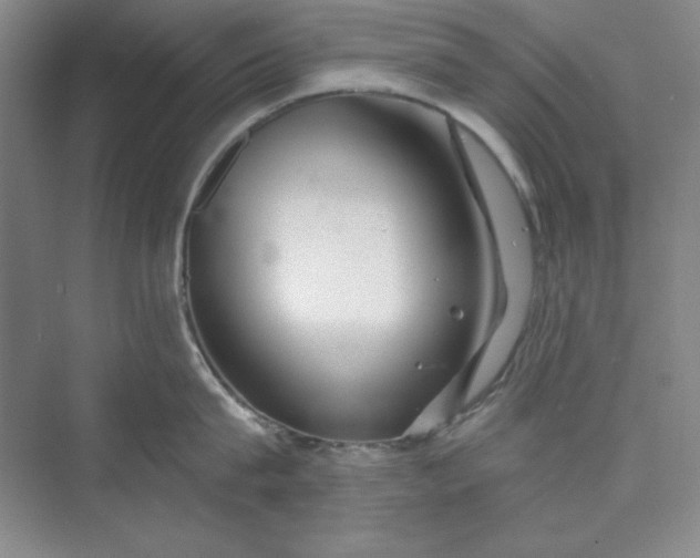 X0000075400815200609251017