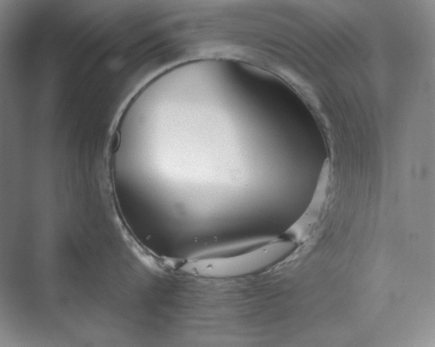 X0000075400816200609251017