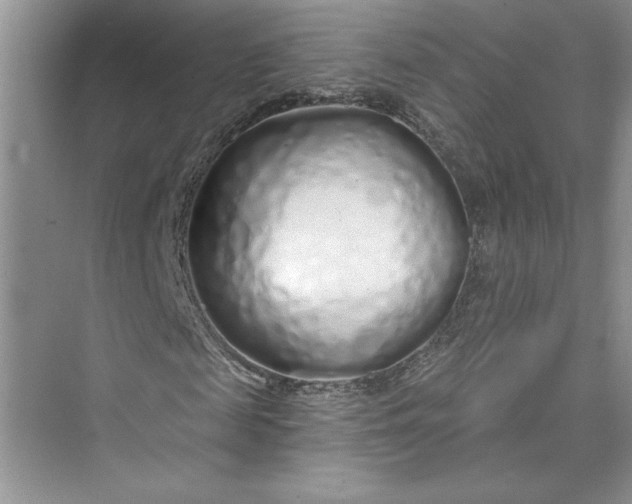 X0000075400817200609251016