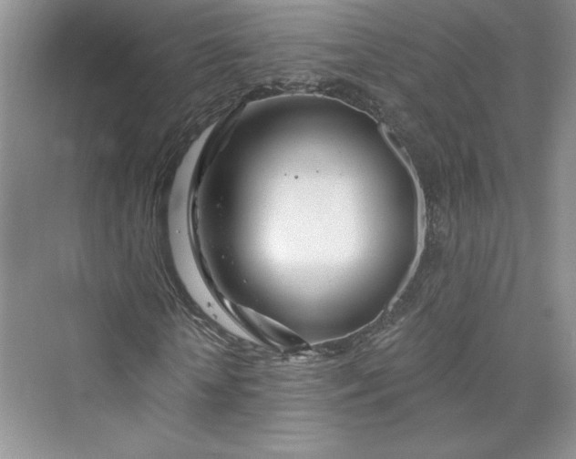 X0000075400818200609251016