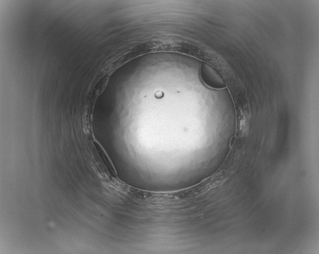 X0000075400819200609251016