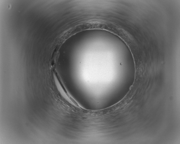 X0000075400821200609251016