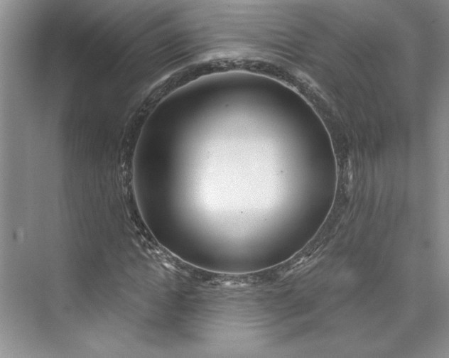 X0000075400822200609251016