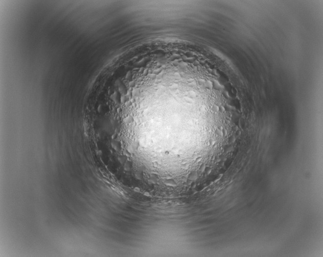 X0000075400823200609251016