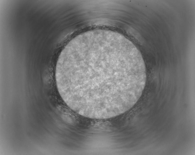 X0000075400824200609251016