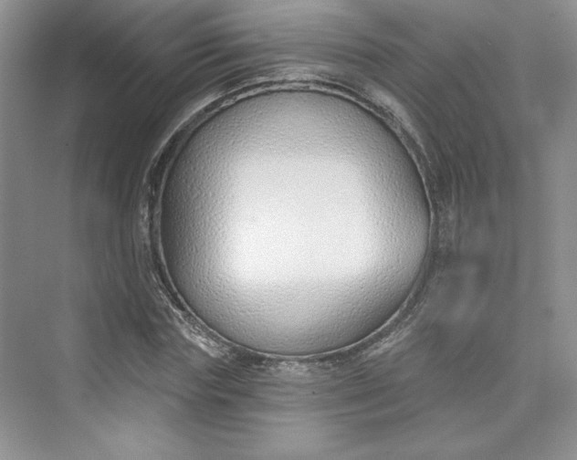 X0000075400827200609251016