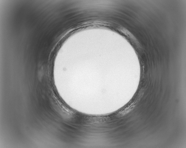 X0000075400828200609251016