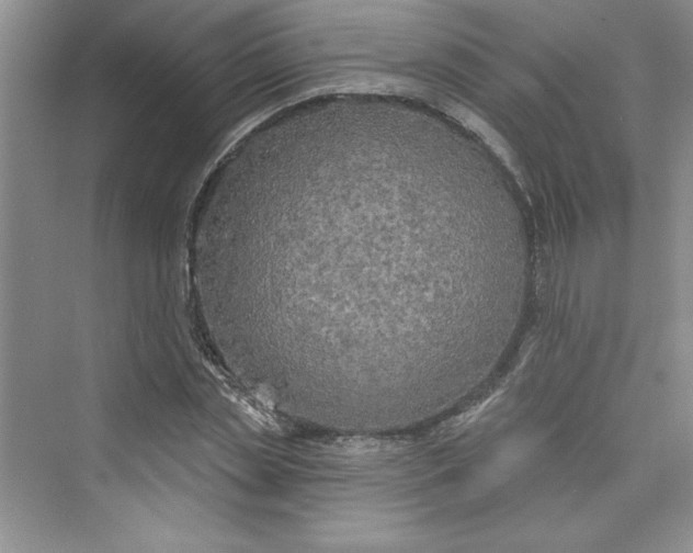 X0000075400829200609251016