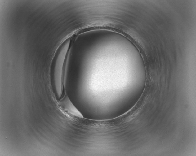 X0000075400834200609251016