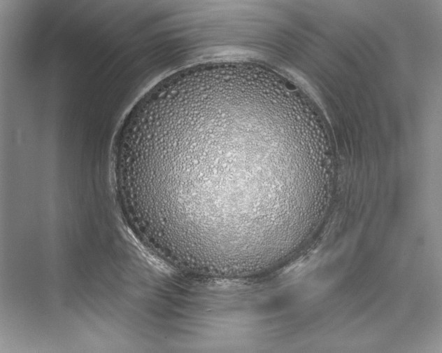 X0000075400835200609251016