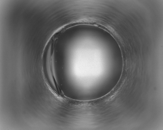 X0000075400838200609251016