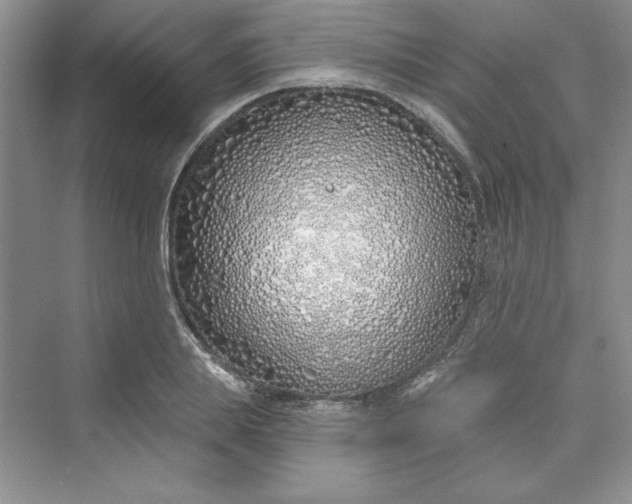 X0000075400839200609251016