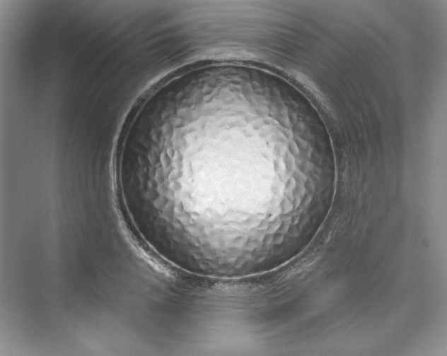 X0000075400840200609251016