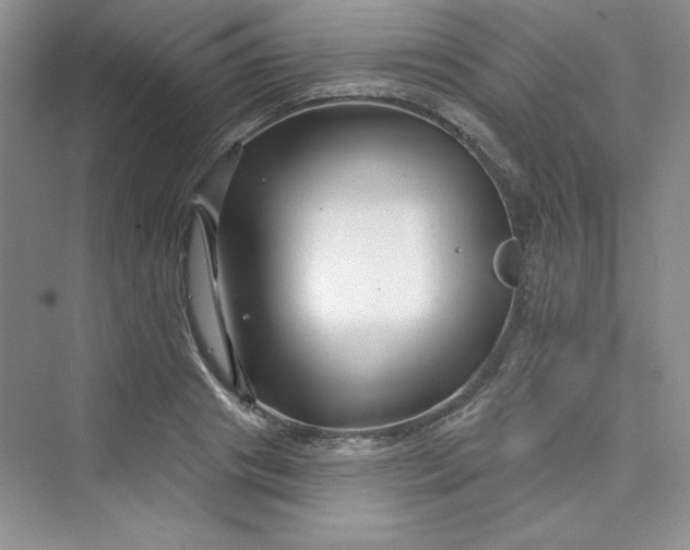 X0000075400841200609251016