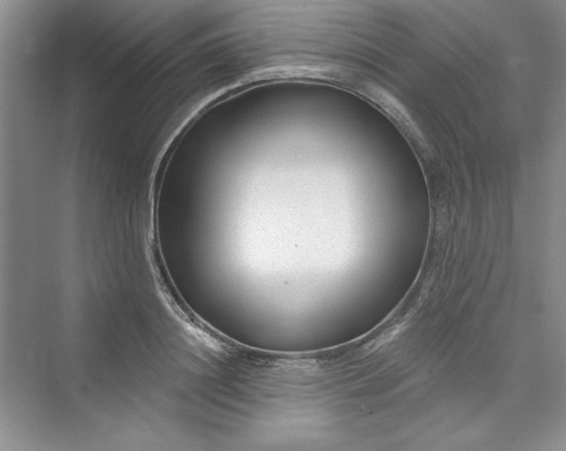 X0000075400844200609251016