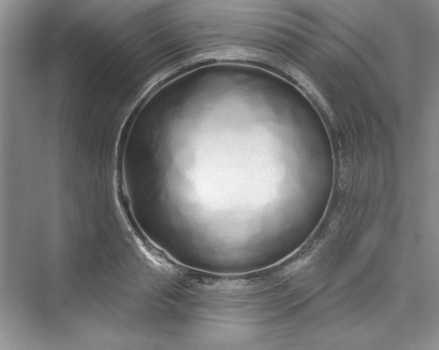 X0000075400845200609251016