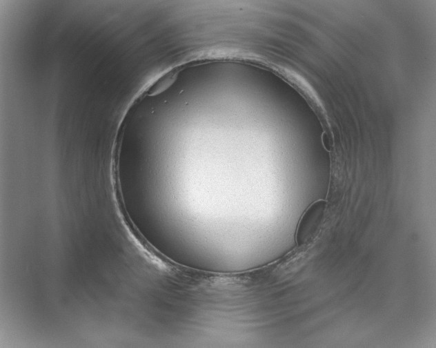 X0000075400847200609251016