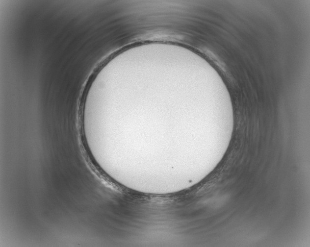 X0000075400848200609251016