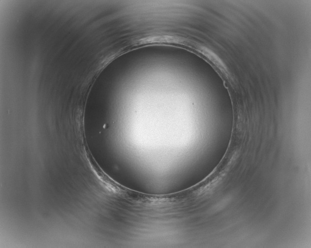 X0000075400849200609251016