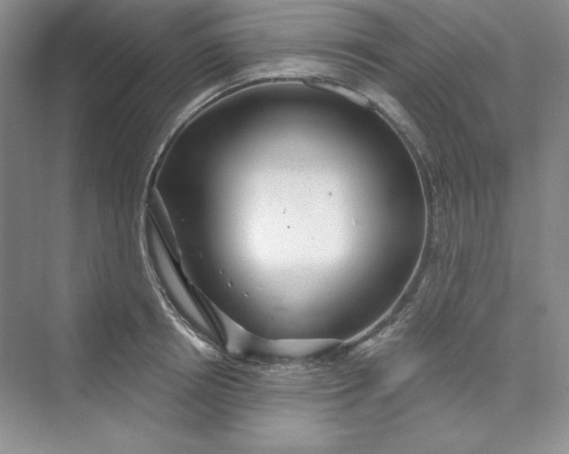 X0000075400850200609251016