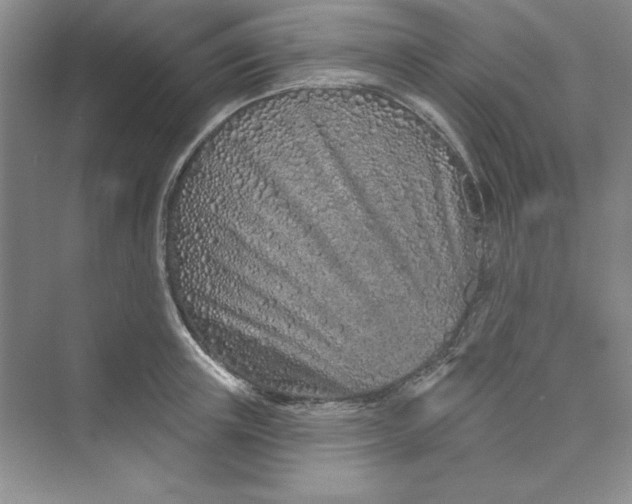 X0000075400851200609251016