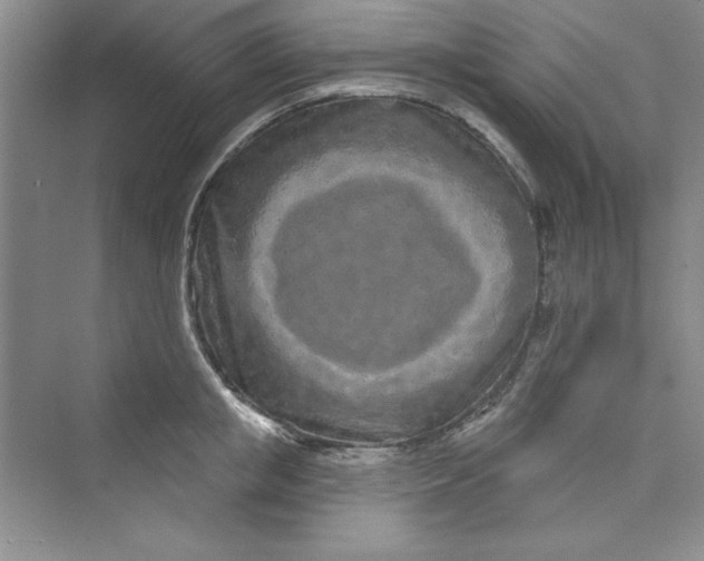 X0000075400853200609251016